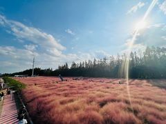 -嘉北郊野公园