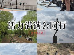 -莫子山公园