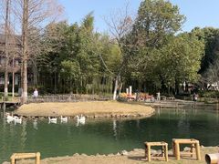 -乌村