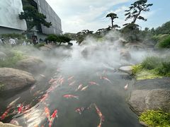 -罗红摄影艺术馆