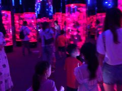 -成都浩海立方海洋公园