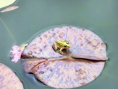 -国家植物园南园