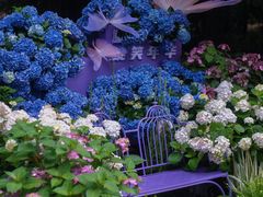 -上海滨江森林公园