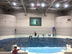 -鹿儿岛水族馆