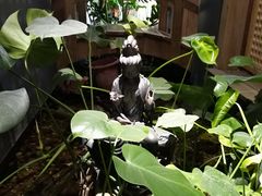 -邈墨茶馆(凤起路店)