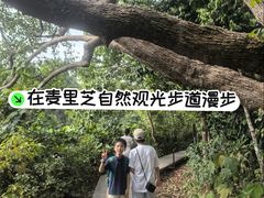 -麦里芝蓄水池