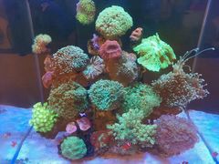 -Rabbit Cafe私房西餐甜点咖啡(栖霞路店)