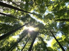 -山王坪喀斯特国家生态公园