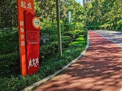 -龙头寺公园