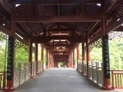 -重庆彩云湖湿地公园