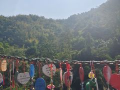 -西双版纳原始森林公园