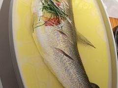 -森隆饭庄(崇文门新世界百货店)