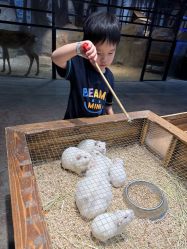 -酷嗒动物文化乐园(cutezoo西溪乐天城店)