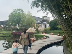 -竹西公园