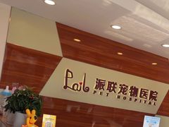 -派联宠物医院·24h·CT·异宠