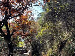 -照金香山旅游景区