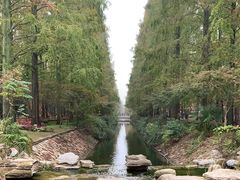 -东平国家森林公园