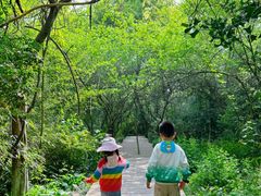 -天目湖山水园