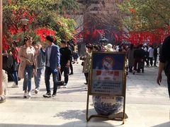 -西安青龙寺遗址景区