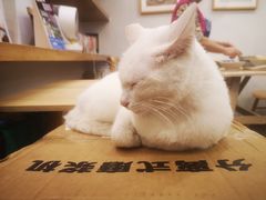 -正南齐北·老街糯米团(洪崖洞店)