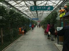 -世界地热博览园