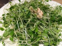 桃仁豆苗-南来顺饭庄·清真(南菜园店)