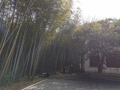 -青龙山国家森林公园
