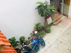-九道菜有鸡鱼头(石鼓路店)