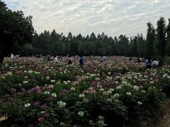 -艾溪湖湿地公园