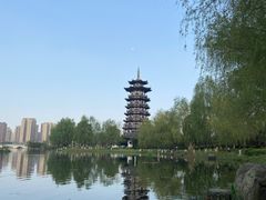 -洋湖国家湿地公园