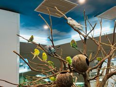 -天河城购物中心