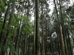 -醍醐寺