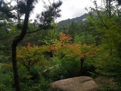 -崂山巨峰游览区