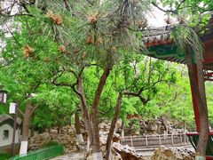 -宣武艺园