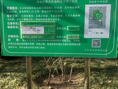 -丰台科技园生态主题公园
