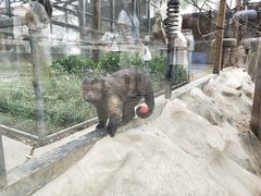 -石家庄市动物园