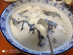 -全乐鱼馆·淳牌有机鱼直营店