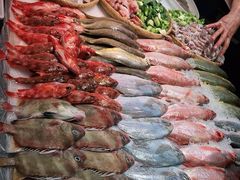 -高佳庄·舟山海鲜(海景旗舰店)