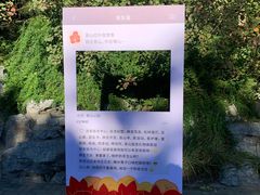 -香山公园