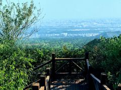 -大岭沟猕猴桃谷风景区
