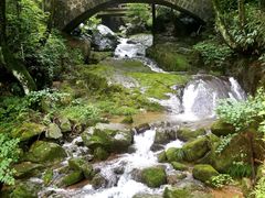 -藏龙百瀑风景区