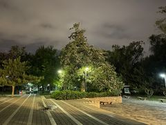 -元大都城垣遗址公园