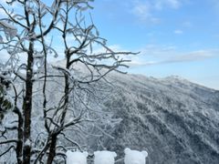 -瓦屋山景区