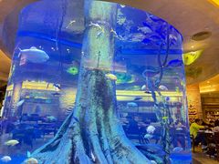-长隆横琴湾酒店(珠海旗舰店)