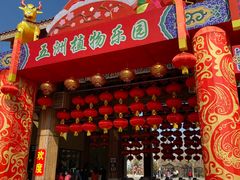 -南宫五洲植物乐园