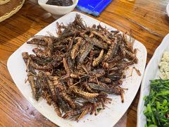 -老保定驴肉馆(云岗路店)