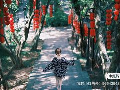-丰都鬼城名山景区