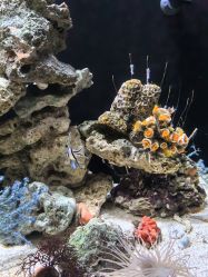 -Zoolung Zoolung动物主题公园(海信广场店)