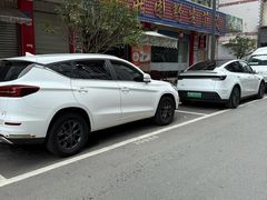 -百菇园野生菌煲(平武店)