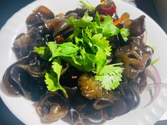 -橦橦小马扎烧烤 (传媒大学店)